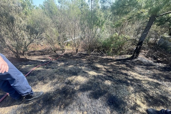 Dry Grass, Backyard Fireworks Spark Brush Blaze Off Elmira Avenue