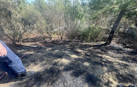 Dry Grass, Backyard Fireworks Spark Brush Blaze Off Elmira Avenue