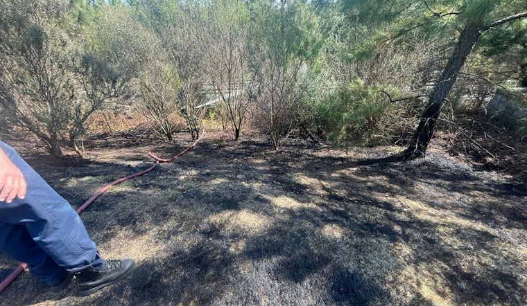 Dry Grass, Backyard Fireworks Spark Brush Blaze Off Elmira Avenue