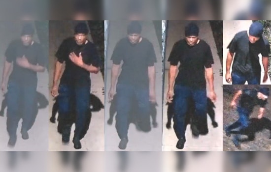Dryden Road Robber On The Loose As Houston Cops Plead For Tips
