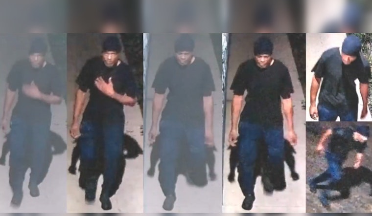 Dryden Road Robber On The Loose As Houston Cops Plead For Tips