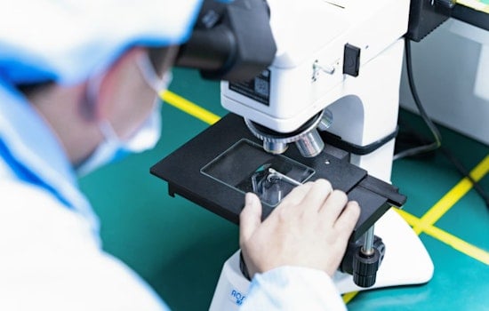Duke Scientists Spot Tiny Eye ‘Cleanup Crew’ That Keeps Pressure In Check