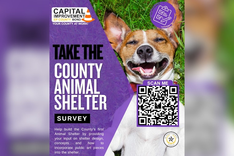 El Paso Locals Asked to Help Shape First-Ever County Animal Shelter