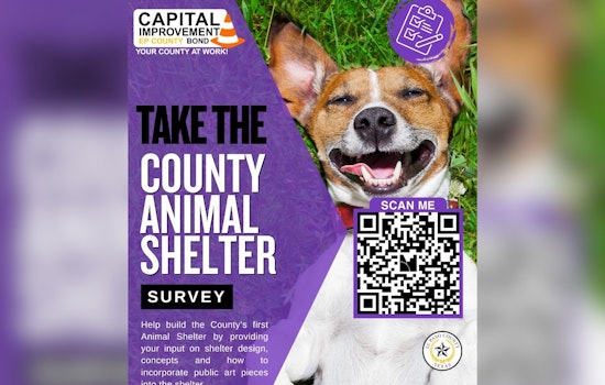 El Paso Locals Asked to Help Shape First-Ever County Animal Shelter