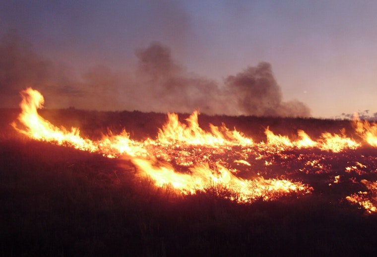 Emma Fire Ignites In LA County Hills As Officials Keep Close Watch