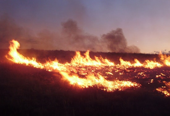Emma Fire Ignites In LA County Hills As Officials Keep Close Watch