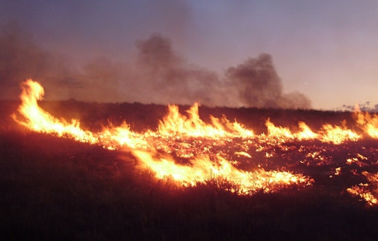 Emma Fire Ignites In LA County Hills As Officials Keep Close Watch