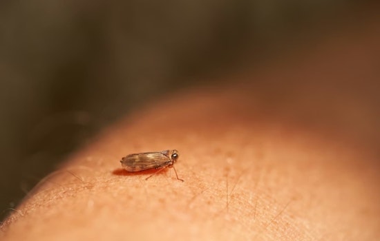 Facebook Furor Erupts Over Alleged Bed Bugs at Cleveland Heights Senior Home