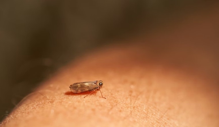 Facebook Furor Erupts Over Alleged Bed Bugs at Cleveland Heights Senior Home