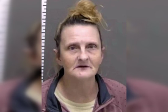 Fargo Face-ID Flub Leaves Tennessee Grandma Jailed and Homeless