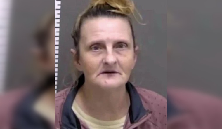Fargo Face-ID Flub Leaves Tennessee Grandma Jailed and Homeless