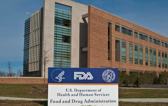 FDA Snub Forces Watertown Biotech to Axe 20 Percent of Staff