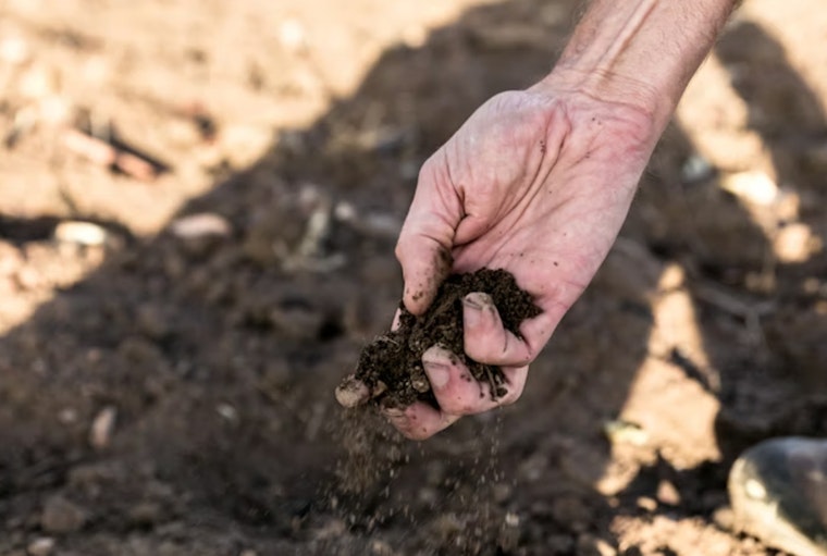 Feds Begin Removing Lead Contamination From Whiting Backyards