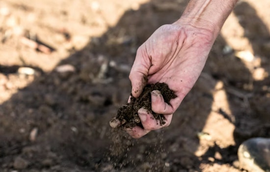 Feds Begin Removing Lead Contamination From Whiting Backyards