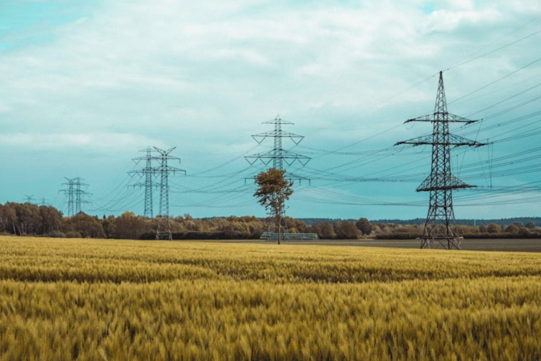Feds Hit Primoris After Seminole Power-Line Horror