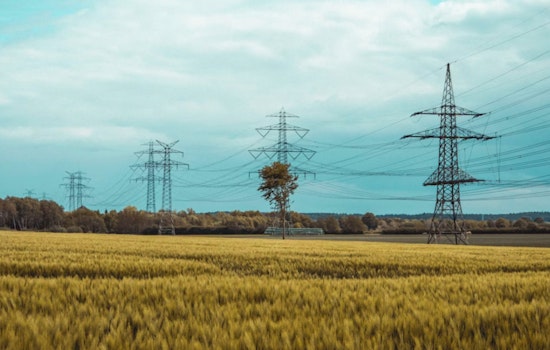 Feds Hit Primoris After Seminole Power-Line Horror