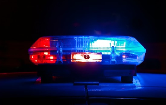 Feds Seize 11 Guns and 20 Switches in Chicago Lawn
