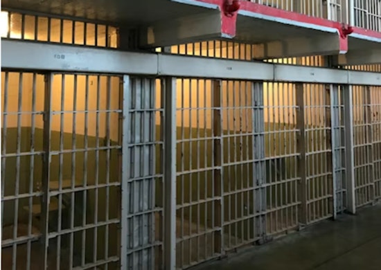 Felon Facing 9 Years For Molotov Attack Near LAX