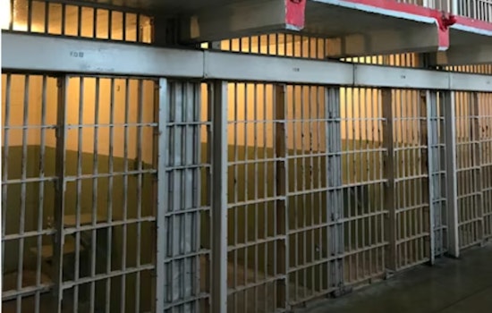 Felon Facing 9 Years For Molotov Attack Near LAX