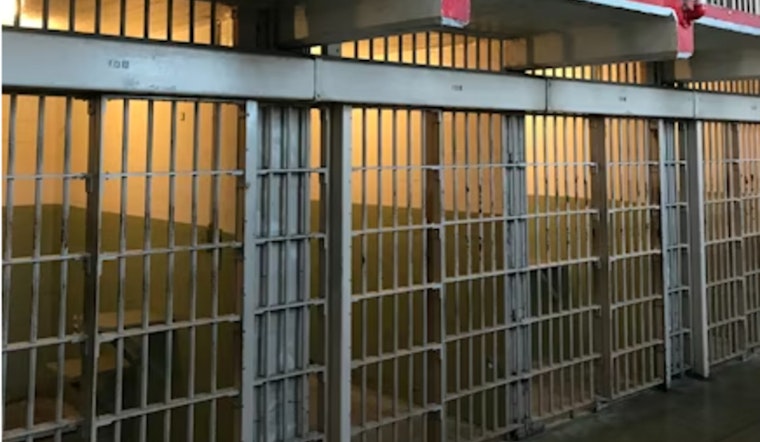 Felon Facing 9 Years For Molotov Attack Near LAX