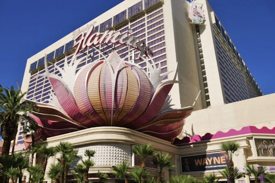 Flamingo Freakout on the Strip as Tourist Busted in Bird-Napping