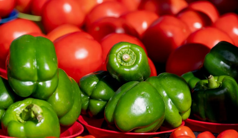 Florida Farmers Urge Trump to Stop Mexican Vegetable Flood
