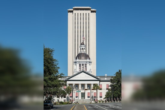 Florida Pronoun Showdown Leaves Employers Caught in Legal Crossfire