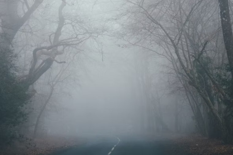 Fog Chokes Philly Morning Rush, Springlike Sizzle on Deck