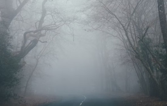 Fog Chokes Philly Morning Rush, Springlike Sizzle on Deck