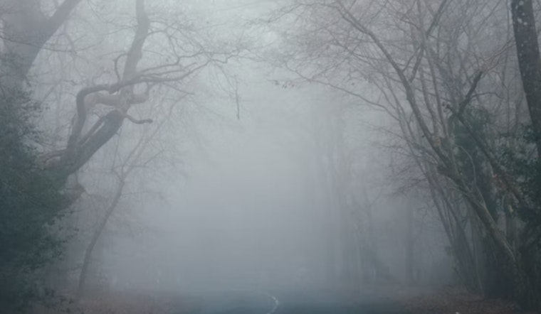 Fog Chokes Philly Morning Rush, Springlike Sizzle on Deck