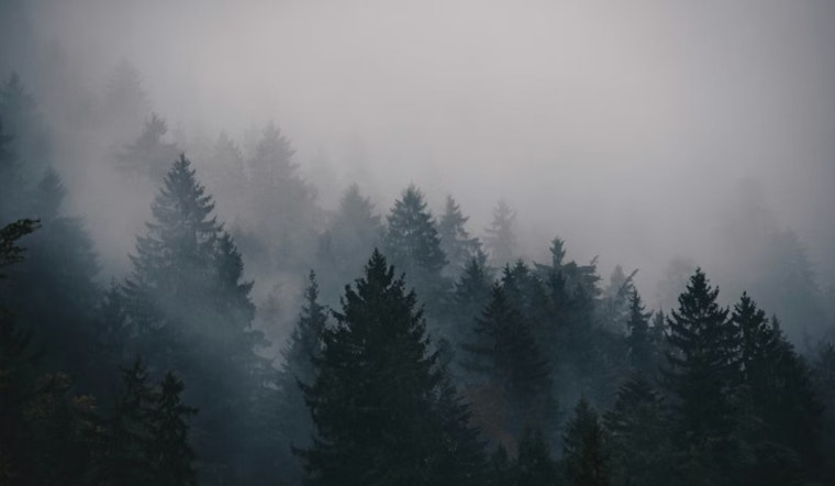 Fog Smothers Philly Morning, Spring Tease Muscles In By Afternoon