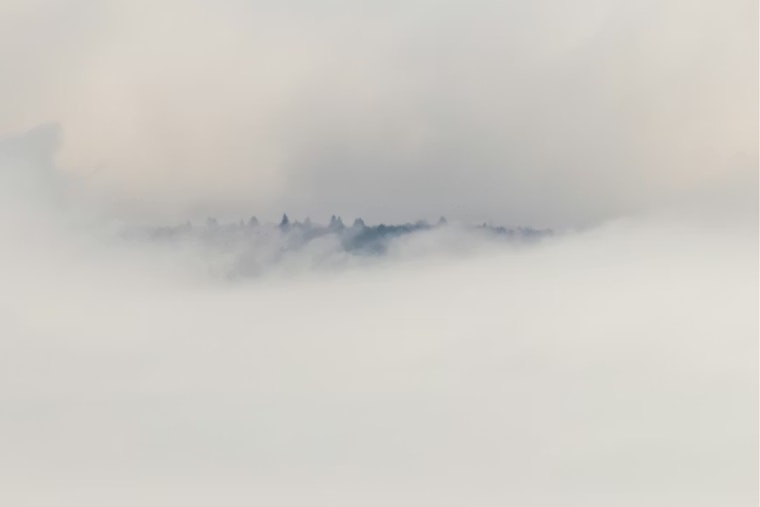 Foggy Start, Sun-Soaked Finish: San Jose Braces For Warmup This Week