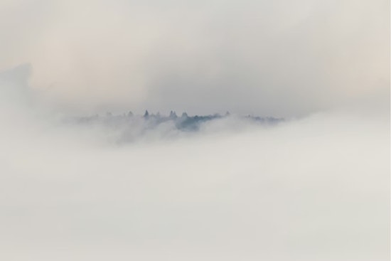 Foggy Start, Sun-Soaked Finish: San Jose Braces For Warmup This Week