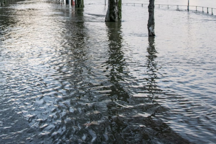 Four Feet of Floodwater Turn Kamehameha Highway Into Windward Traffic Nightmare