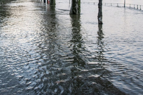 Four Feet of Floodwater Turn Kamehameha Highway Into Windward Traffic Nightmare