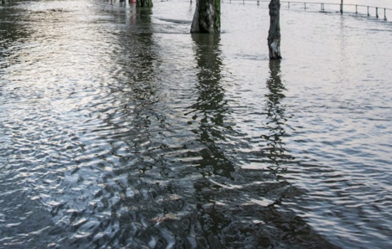 Four Feet of Floodwater Turn Kamehameha Highway Into Windward Traffic Nightmare