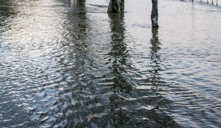 Four Feet of Floodwater Turn Kamehameha Highway Into Windward Traffic Nightmare