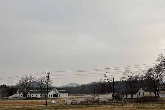 Franklin’s Pilgrimage Fest Hits Pause, Won’t Be Back Until 2027