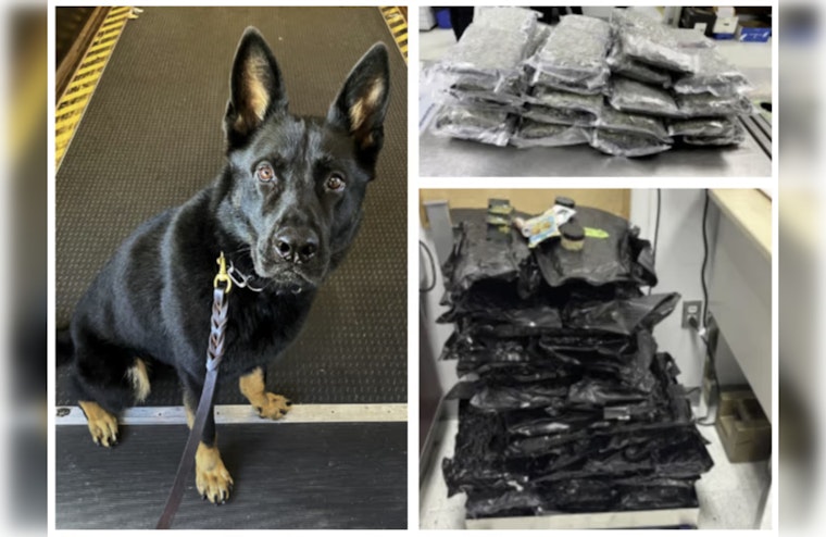 Fredo Nabs Nearly 100 Pounds Of Weed At Philadelphia Airport