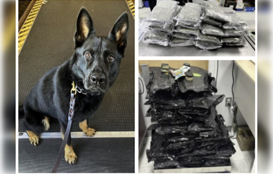 Fredo Nabs Nearly 100 Pounds Of Weed At Philadelphia Airport