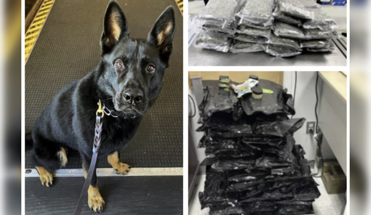 Fredo Nabs Nearly 100 Pounds Of Weed At Philadelphia Airport