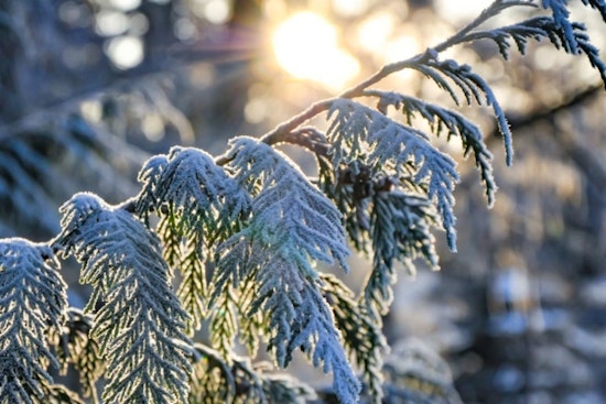 Frosty Morning and Fiery Rules as Burn Ban Hits Raleigh While Temperatures Climb Into the 60s