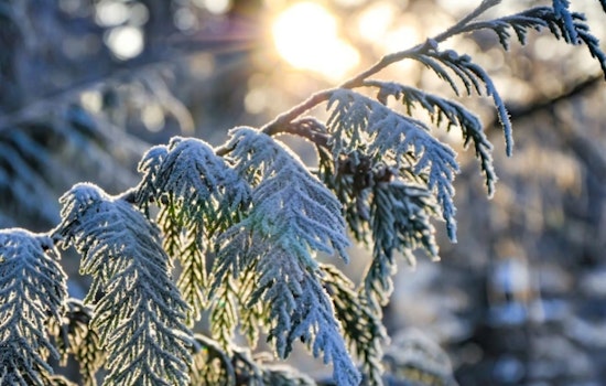 Frosty Morning and Fiery Rules as Burn Ban Hits Raleigh While Temperatures Climb Into the 60s