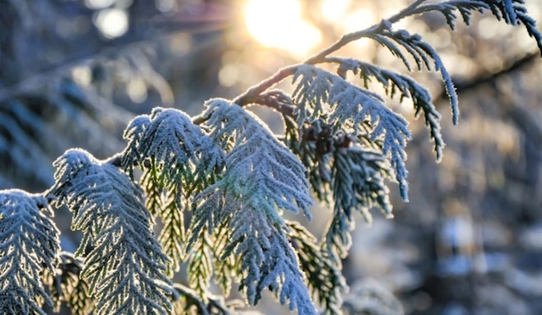 Frosty Morning and Fiery Rules as Burn Ban Hits Raleigh While Temperatures Climb Into the 60s