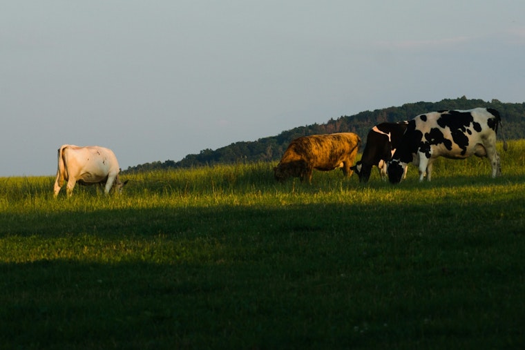 Gated Big-Money Build, Schlather Ranch Brings Half-Acre Lots To Cibolo's Edge