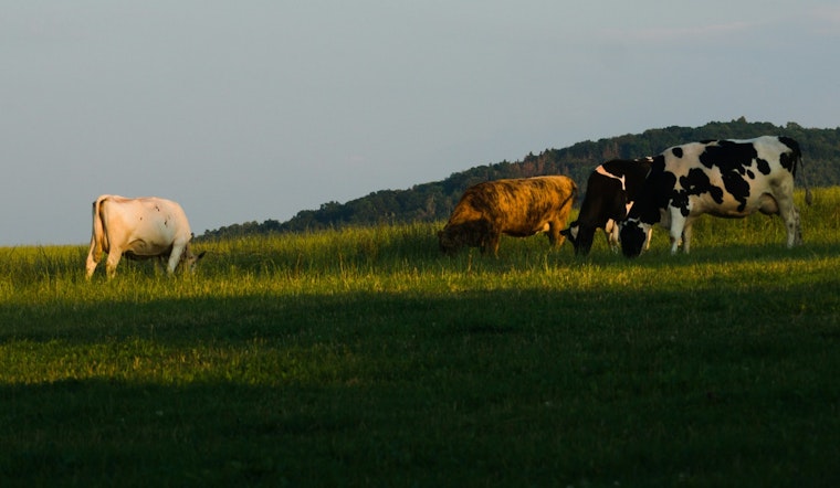 Gated Big-Money Build, Schlather Ranch Brings Half-Acre Lots To Cibolo's Edge
