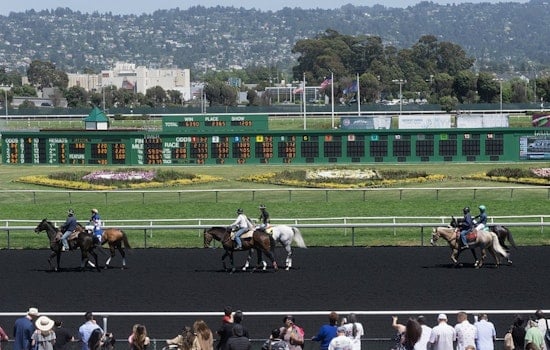 Golden Gate Fields Faces $175 Million Bet on Bayfront Park Makeover