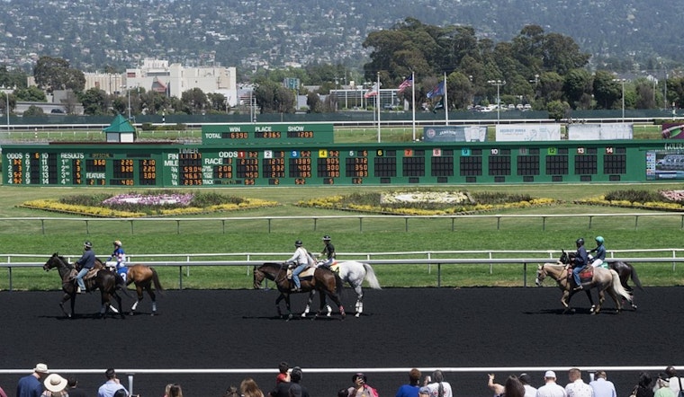 Golden Gate Fields Faces $175 Million Bet on Bayfront Park Makeover