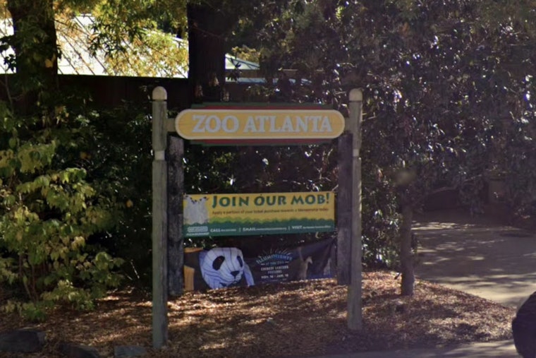 Grant Park Gets A New Chill As Zoo Atlanta Scoops Up Ben & Jerry’s