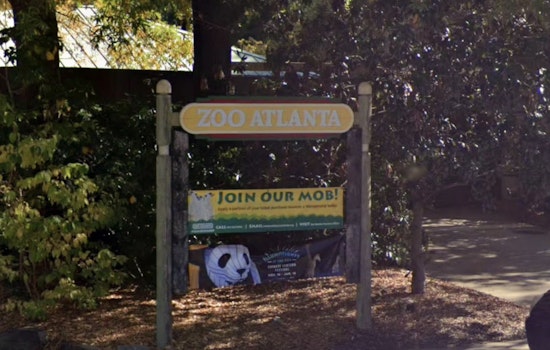 Grant Park Gets A New Chill As Zoo Atlanta Scoops Up Ben & Jerry’s